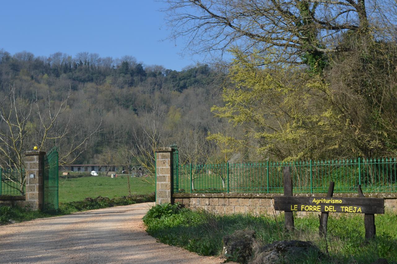 Agriturismo Le Forre Del Treja Civita Castellana Eksteriør billede