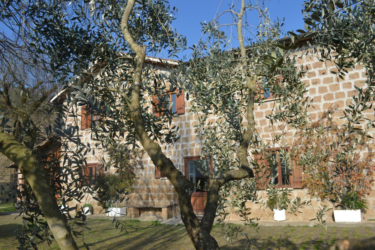 Agriturismo Le Forre Del Treja Civita Castellana Eksteriør billede